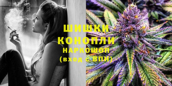 трава Осинники