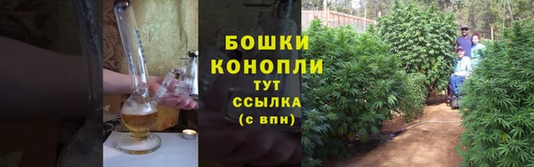 мет Пестово