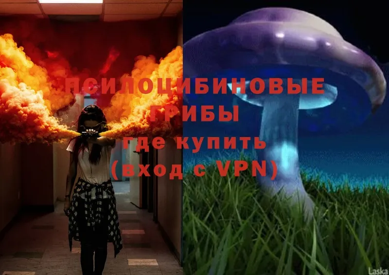 Галлюциногенные грибы Psilocybe  Балахна 