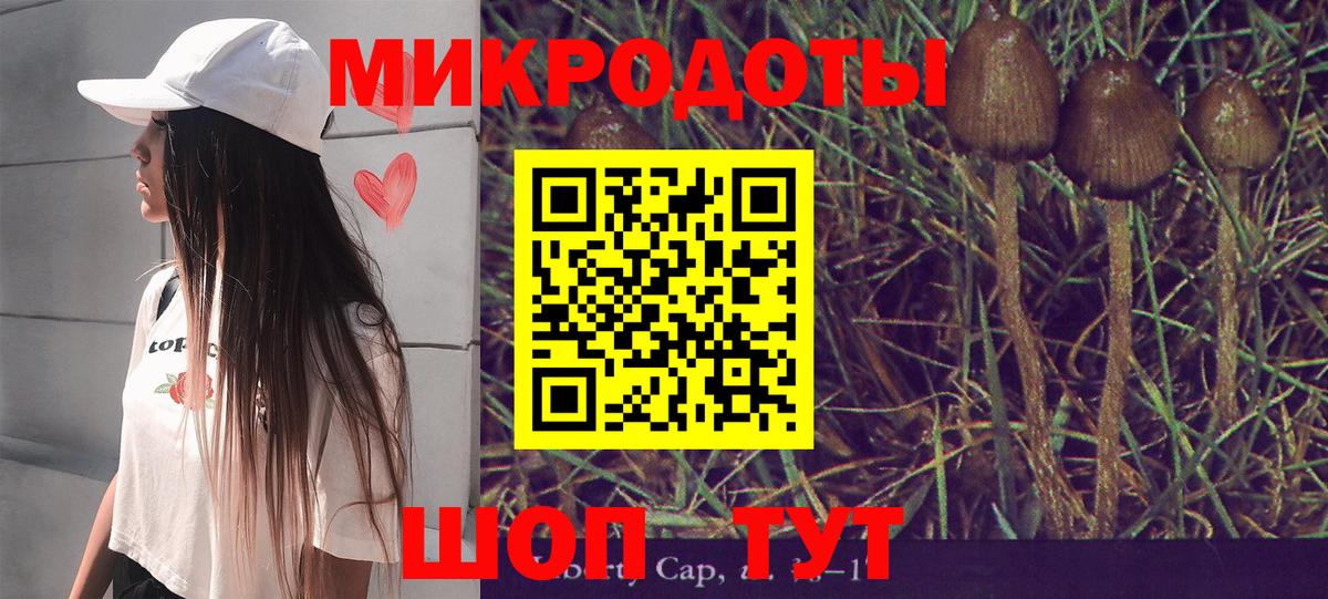 Галлюциногенные грибы мицелий Балахна
