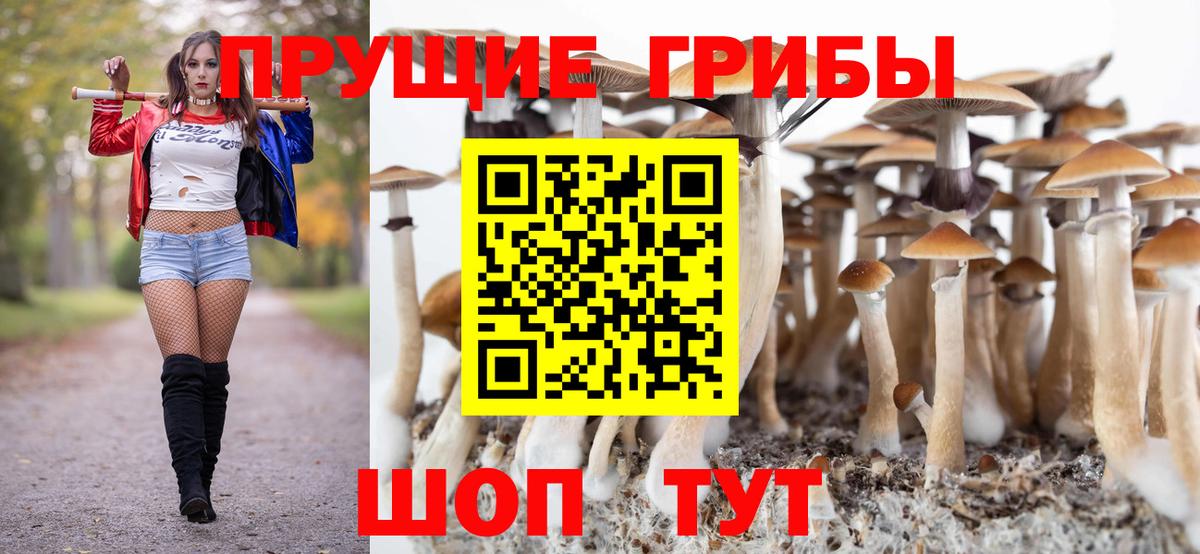 Псилоцибиновые грибы мицелий Балахна