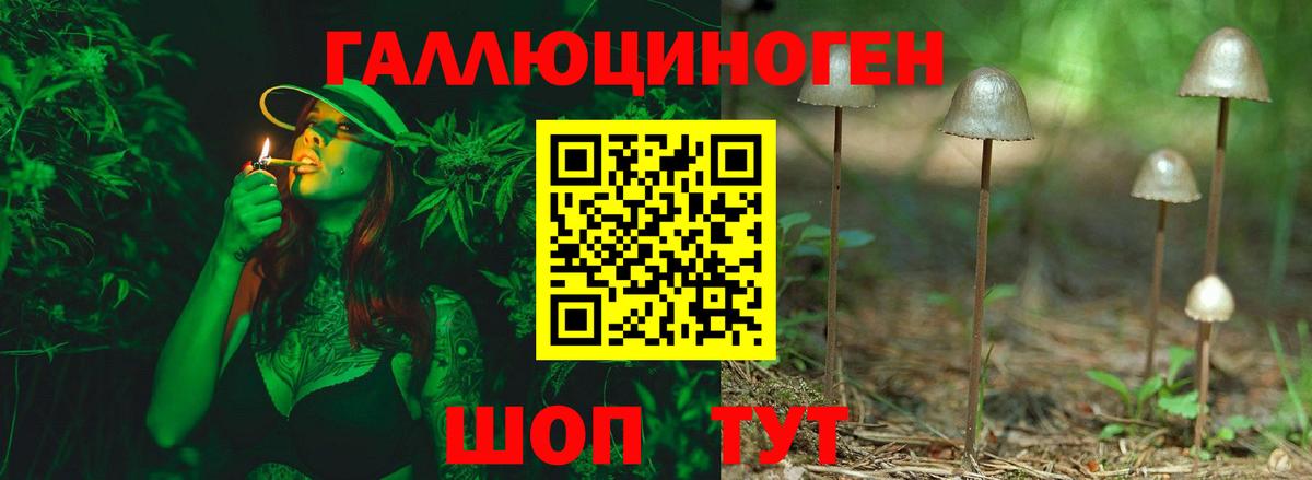 Галлюциногенные грибы ЛСД  Псилоцибиновые грибы Psilocybine cubensis  Вход с VPN  Балахна 